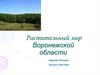 Растительный мир Воронежской области. Воронежский биосферный заповедник