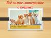 Все самое интересное о кошках (2-4 класс)