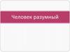 Человек разумный