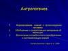 Антропогенез. Формирование знаний о происхождении человека