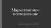 Продажа наполнителя для кошачьего лотка. Маркетинговое исследование