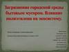 Загрязнение городской среды бытовым мусором. Влияние полиэтилена на экосистема