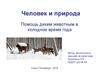 Человек и природа. Помощь диким животным в холодное время года