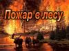 Пожар в лесу