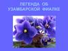 Легенда об узамбарской фиалке
