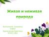 Живая и неживая природа