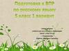 Подготовка к ВПР по русскому языку. 5 класс. 1 вариант