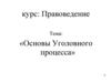 Основы Уголовного процесса
