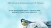 Трудно птицам выживать, нужно птицам помогать