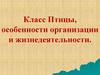Класс Птицы, особенности организации и жизнедеятельности