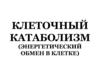 Клеточный катаболизм (энергетический обмен в клетке)