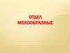 Отдел Мохообразные