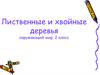 Лиственные и хвойные деревья окружающий мир, 2 класс