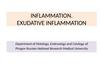 Inflammation. Exudative inflammation
