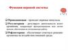Функции нервной системы: проводниковая и регуляторная