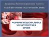 Морфофункциональная характеристика крови