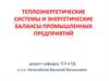 Теплоэнергетические системы и энергетические балансы промышленных предприятий