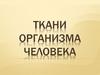 Ткани организма человека