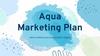 Aqua Marketing Plan