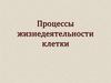 Процессы жизнедеятельности клетки